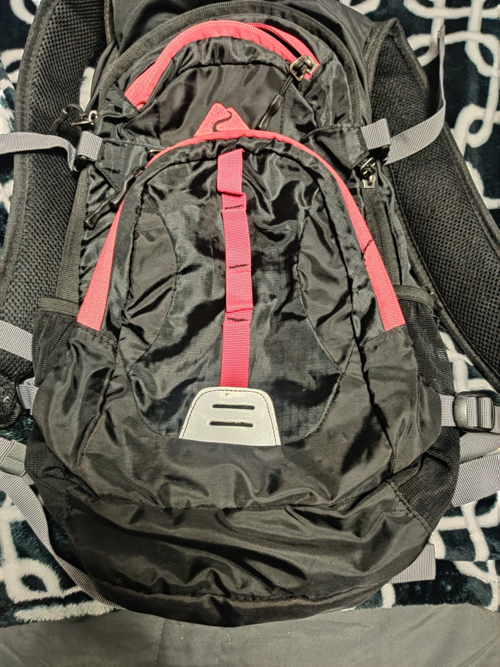 Ozark Trail Black Backpack with Red Accents